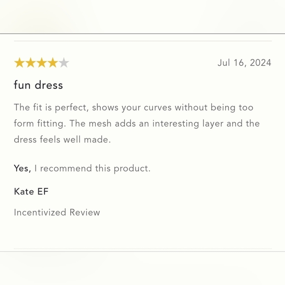 NWT ANTHROPOLOGIE | Pilcro Seamed V-Neck Mesh Dress - Picture 5 of 7